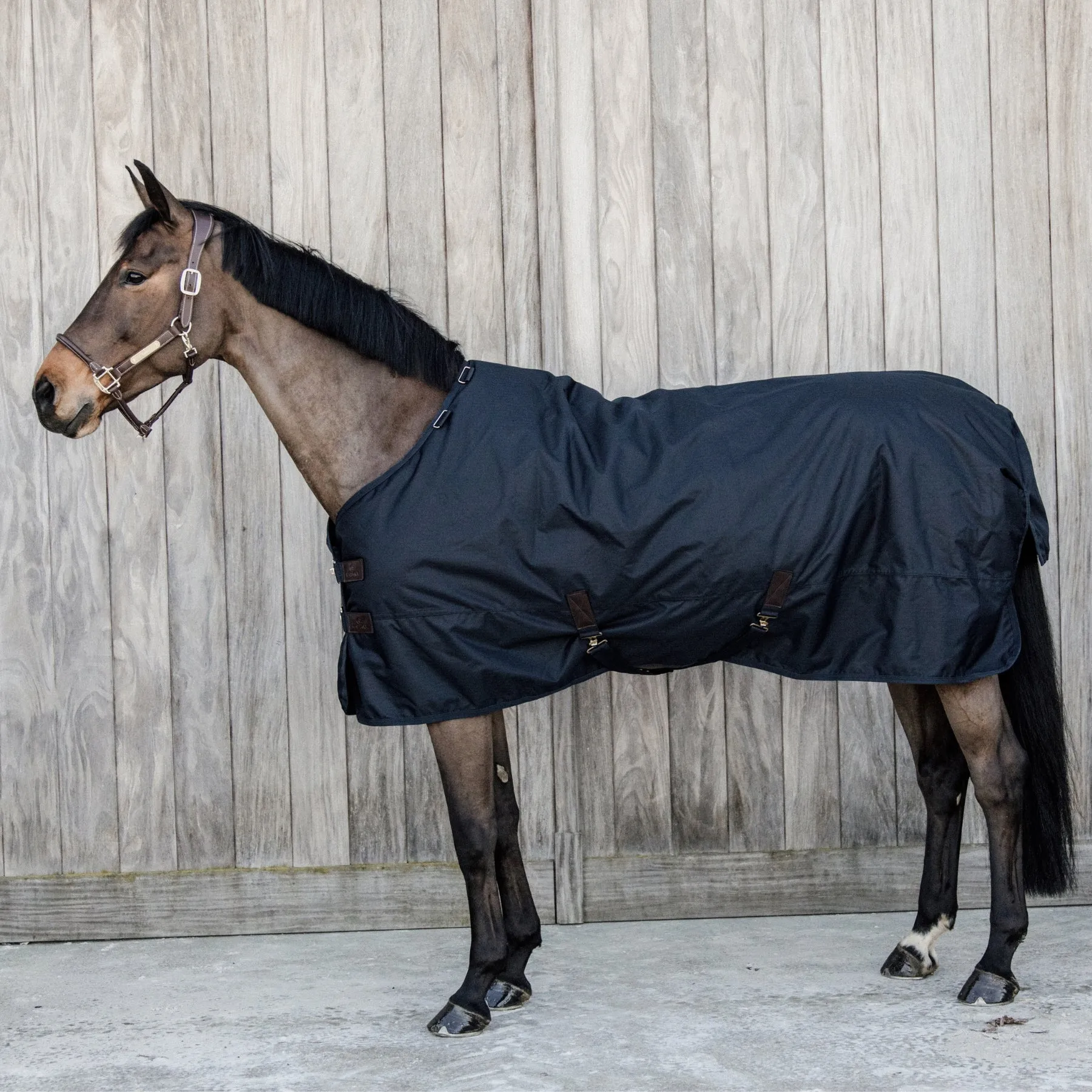 Kentucky Horsewear Turnout Rug All Weather Waterproof Classic, Navy